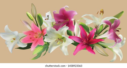 illustration with lily flowers isolated on beige background