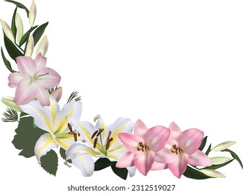 illustration with lily flowers isolated on white background