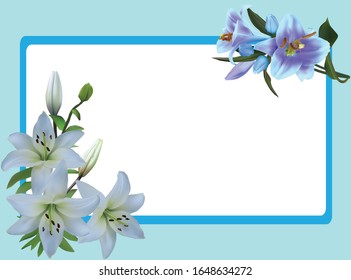 illustration with lily flowers in simple blue frame