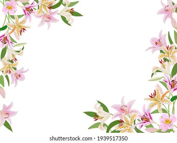 Illustration of lily flowers. Spring and summer.