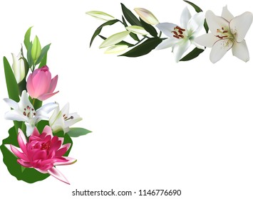 illustration with lily and lotus flowers isolated on white background