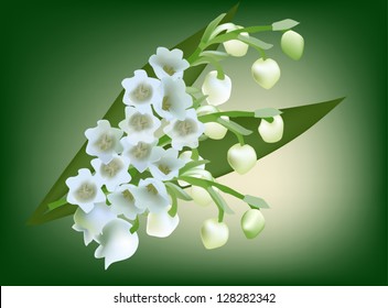illustration with lily-of-the-valley bouquet on green background