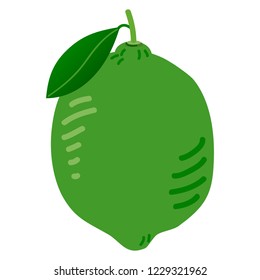 Illustration of the lime