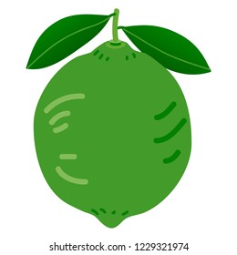 Illustration of the lime