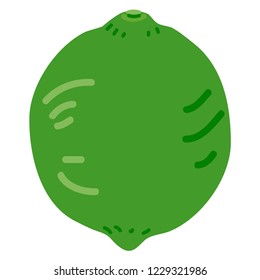 Illustration of the lime