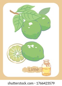 Ilustración de cal y botella de aromaterapia. Ilustración vectorial.