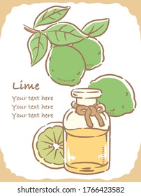 Ilustración de cal y botella de aromaterapia. Ilustración vectorial.