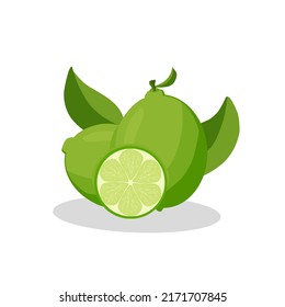 Illustration of a lime fruit .lime fruit icon.fruits