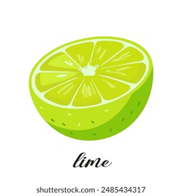 Ilustración de fruta de lima aislada sobre fondo blanco. Fruta tropical de verano.