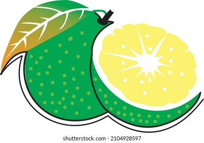 illustration of lime fruit with a mix of colors and lines