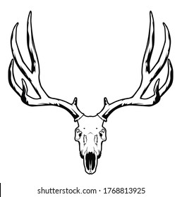 Illustration of line art with an animal theme using a skull object from a deer head