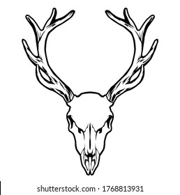 Illustration of line art with an animal theme using a skull object from a deer head