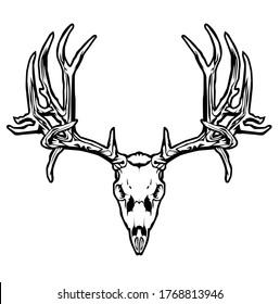 Illustration of line art with an animal theme using a skull object from a deer head