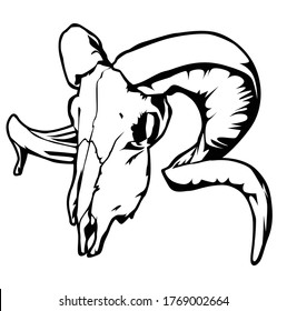 illustration line art and animal themes using goat skull objects