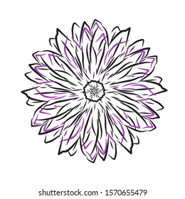 Illustration of line art flower. Colorful