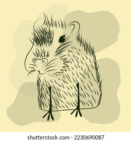 Illustration of a line guinea pig