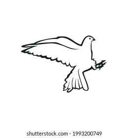 Illustration of line sketch dove bird cute and beatifull