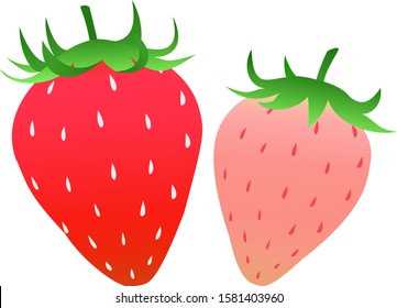 Illustration lined with red and pink strawberries