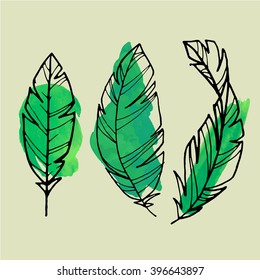 Illustration lines feathers 2
