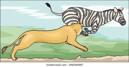 illustration of lion attack on zebra