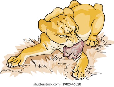 illustration of lion eating meat in grass
