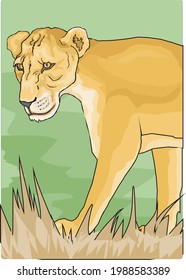 illustration of a lion in forest