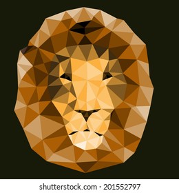 illustration of lion head