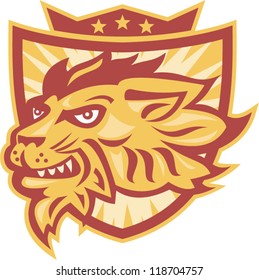 Illustration of lion head facing side with shield and crown and stars in background.