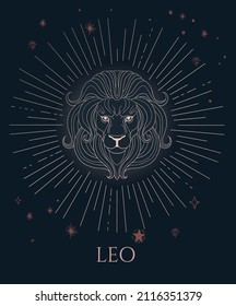 illustration of lion head, zodiac sign - leo, black and gold with stars