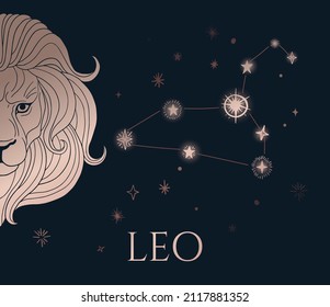 illustration of lion head, zodiac sign - leo, black and gold with stars zodiac form