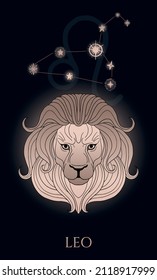 illustration of lion head, zodiac sign - leo, black and gold with stars zodiac form