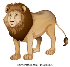 illustration of a lion on a white background