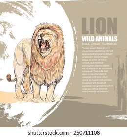 illustration of Lion. wild animals background.