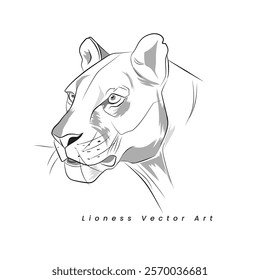 An illustration of Lioness head, Vector art of predator, Wildlife vector line drawing