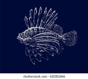 Illustration of lionfish (Pterois, zebrafish, firefish, turkeyfish or butterfly-cod)