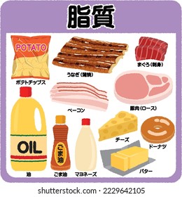 Illustration of lipids. Oil, mayonnaise, cheese, butter, donuts, bacon, pork loin, tuna lean, grilled eel, and potato chips.