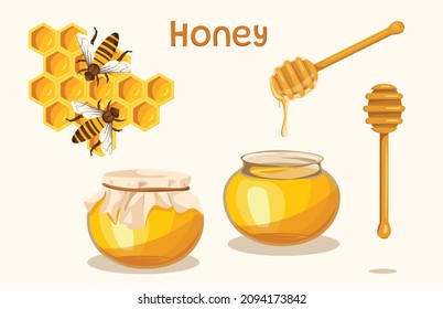 Illustration with liquid natural yellow honey on white background. Vector honeycombs with bee, closed and open glass jar with honey and wooden dipper in cartoon style.