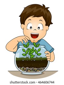 Illustration of a Little Boy Checking His Terrarium