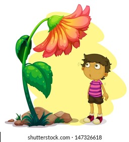 Illustration of a little boy looking at the giant flower on a white background 