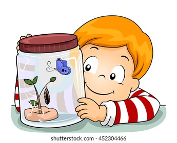 Illustration of a Little Boy Observing the Life Cycle of a Butterfly