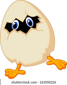 illustration of Little chicken in egg  