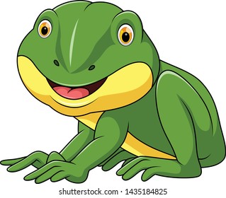 illustration of little cute frog cartoon