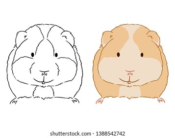 Illustration of little cute guinea pig on white background. Hand drawn vector art of small cavy good for coloring for children. Domestic animal drawing. Hand drawn animal sketch.