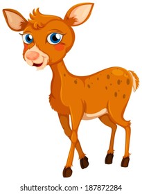 Illustration of a little deer on a white background
