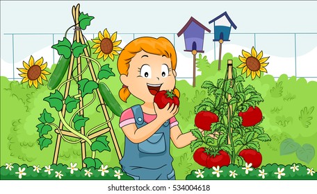 Illustration of a Little Girl Eating a Freshly Picked Tomato from Her Garden