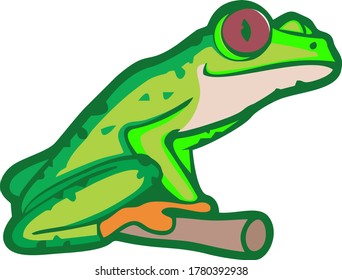 illustration of a little green frog
