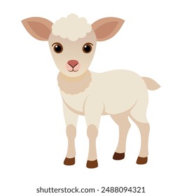 Illustration of little lamb animal on white