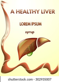 ILLUSTRATION OF THE LIVER AND GALLBLADDER