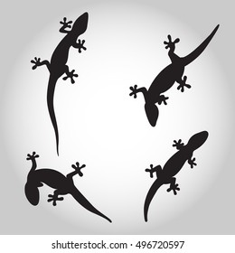 Illustration of lizard icon or shadow
