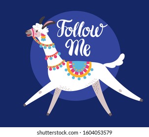 Illustration with llama, composition on blue vector doodle elements. Greeting card with Alpaca. Follow me